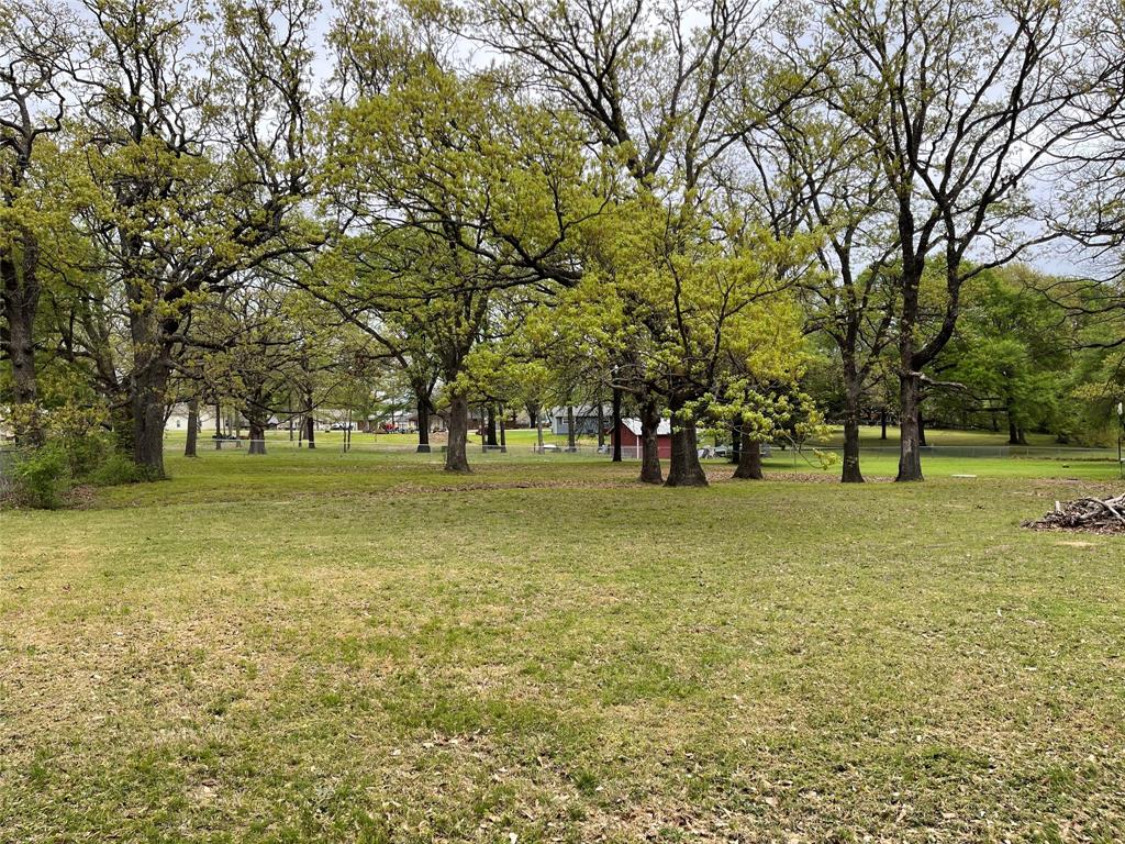 1509 Mitchell Drive Bonham, TX 75418 - Photo 9 of 9 a view of park space