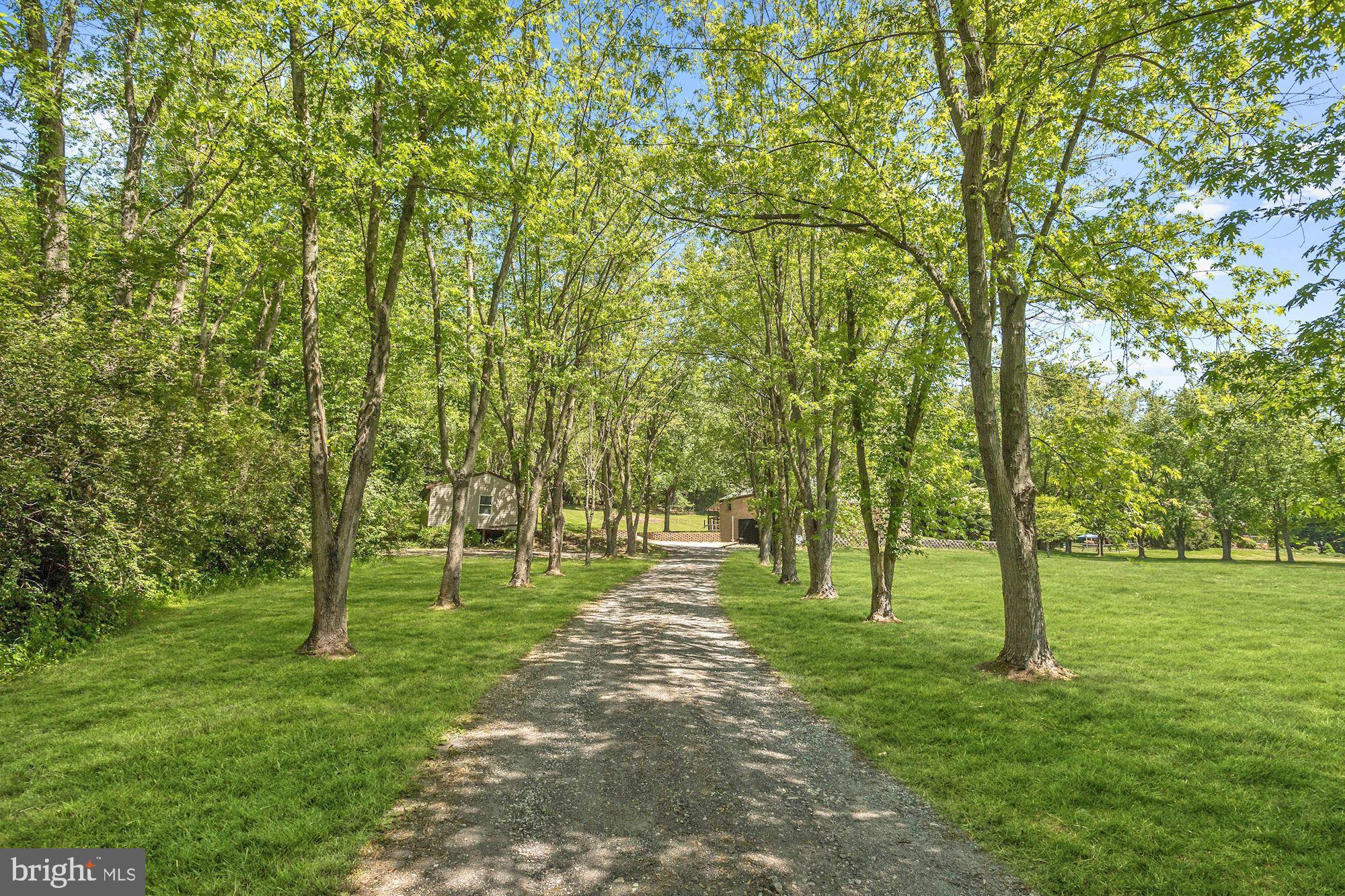 412 Leppo Road Westminster, MD 21158 - Photo 39 of 40 Driveway