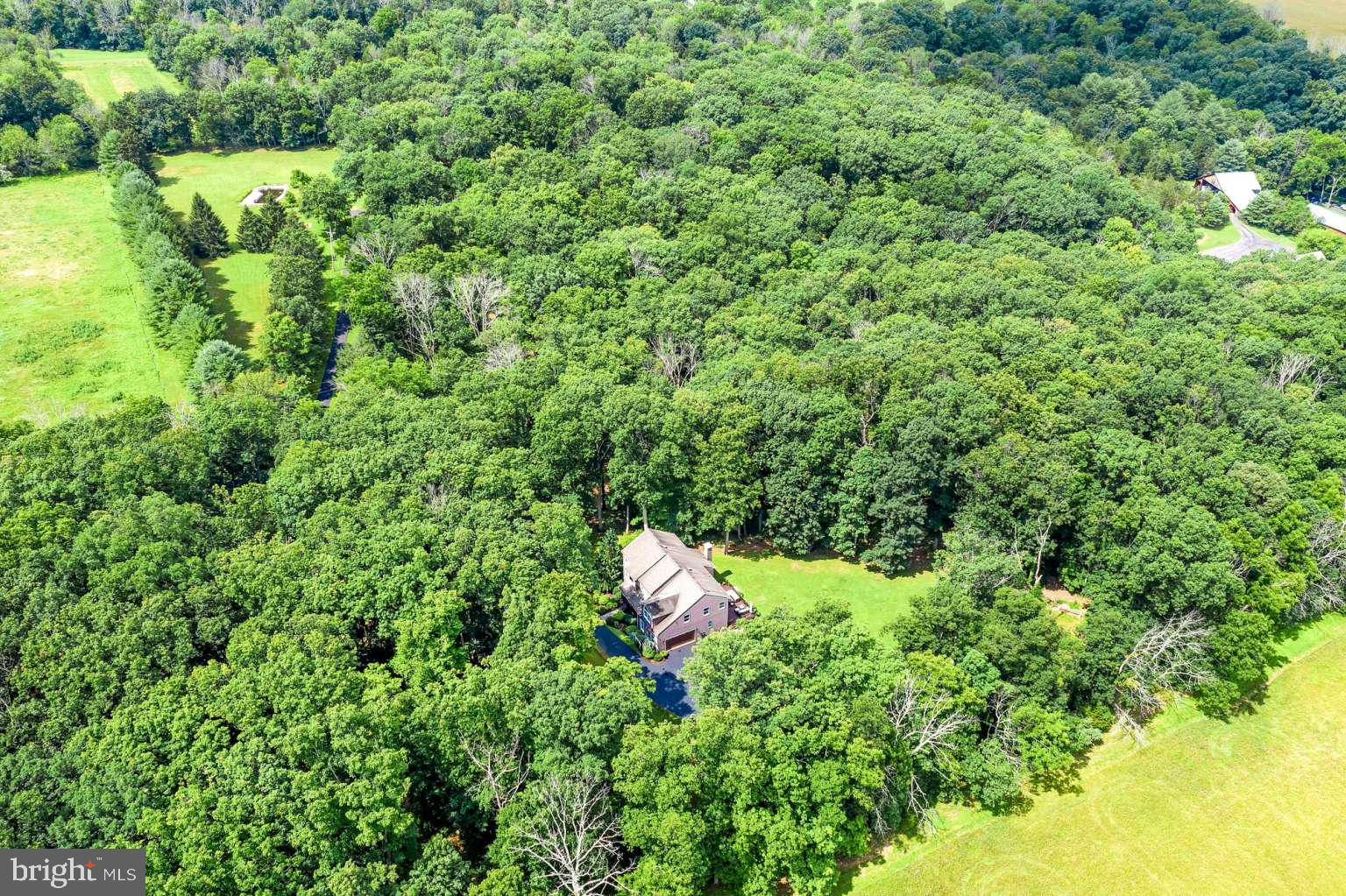 148 Municipal Road Pipersville, PA 18947 - Photo 45 of 50