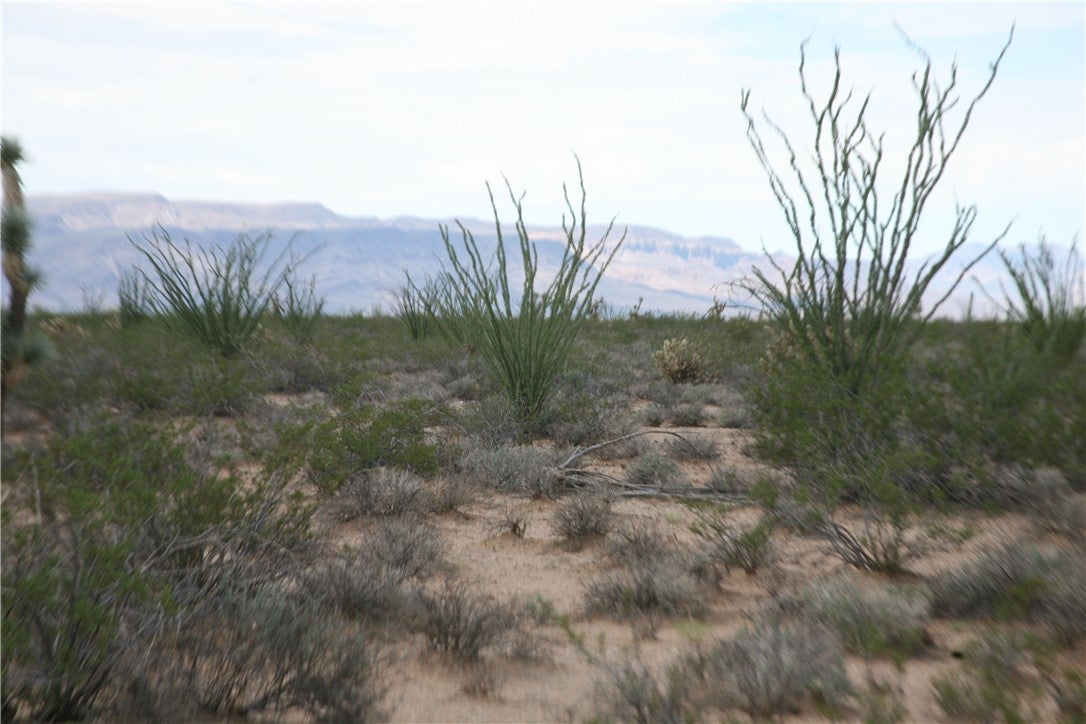 243-15-016 South Custer Road, Unit 3491 Yucca, AZ 86438 - Photo 49 of 61 Gallery Image 49
