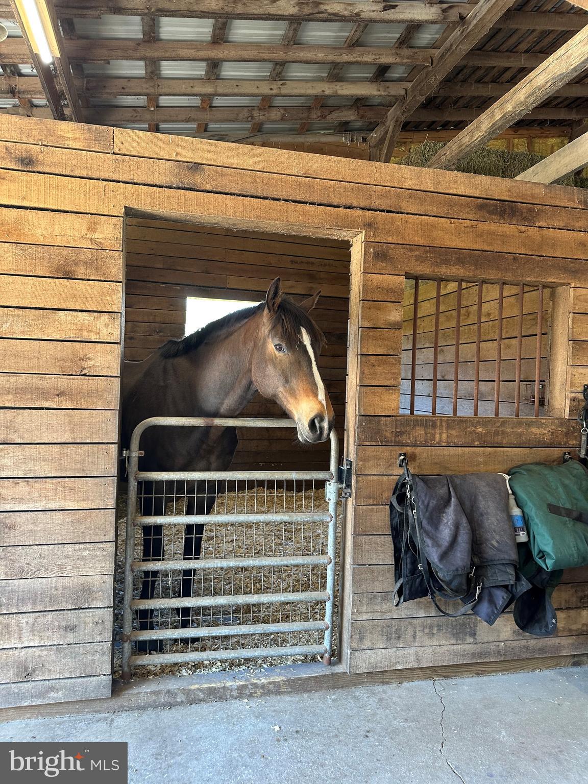 15095 Little Dry River Road Fulks Run, VA 22830 - Photo 12 of 18