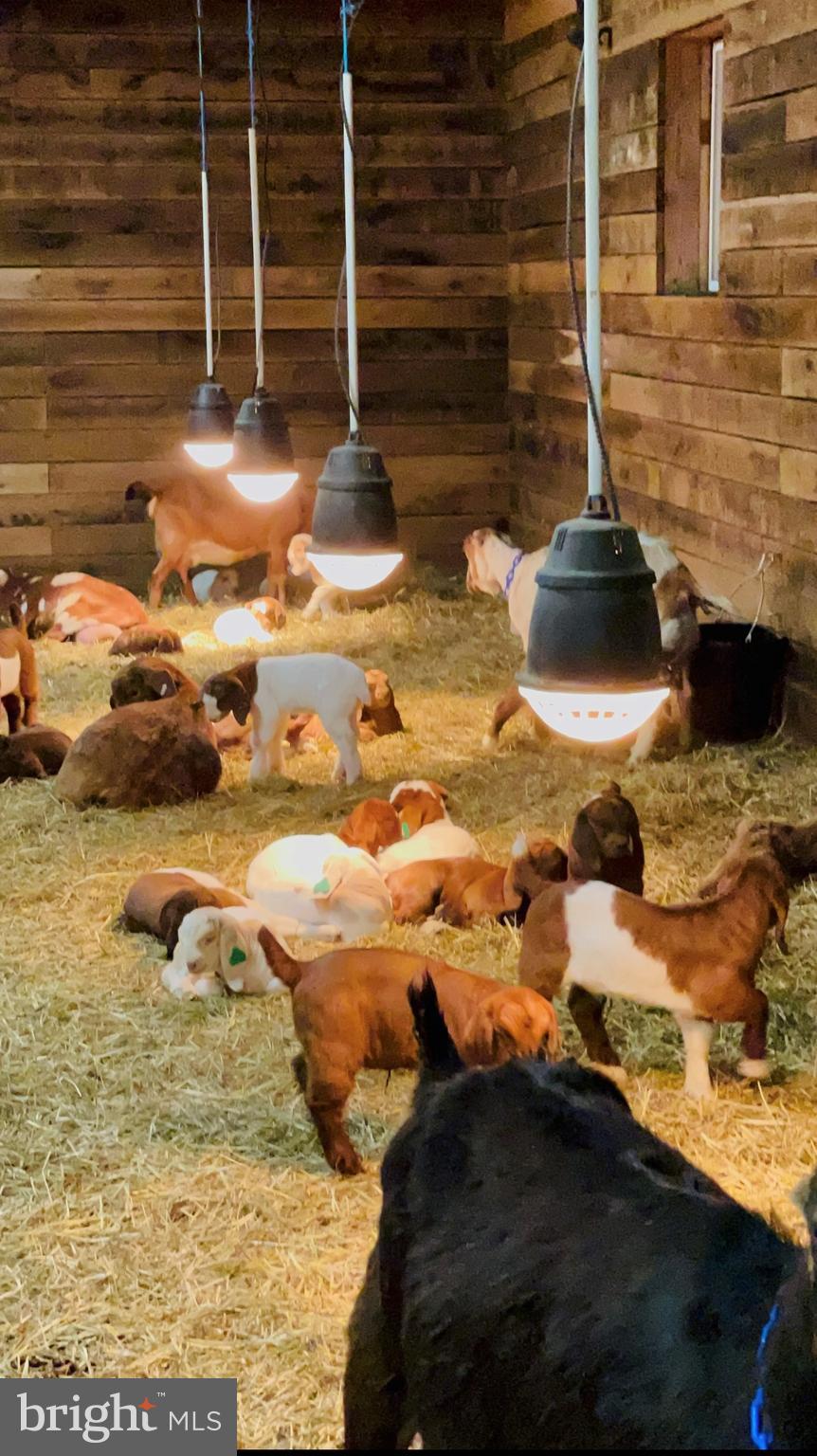 15095 Little Dry River Road Fulks Run, VA 22830 - Photo 18 of 18