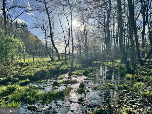 $1,650,000 | 15095 Little Dry River Road, Fulks Run, VA 22830