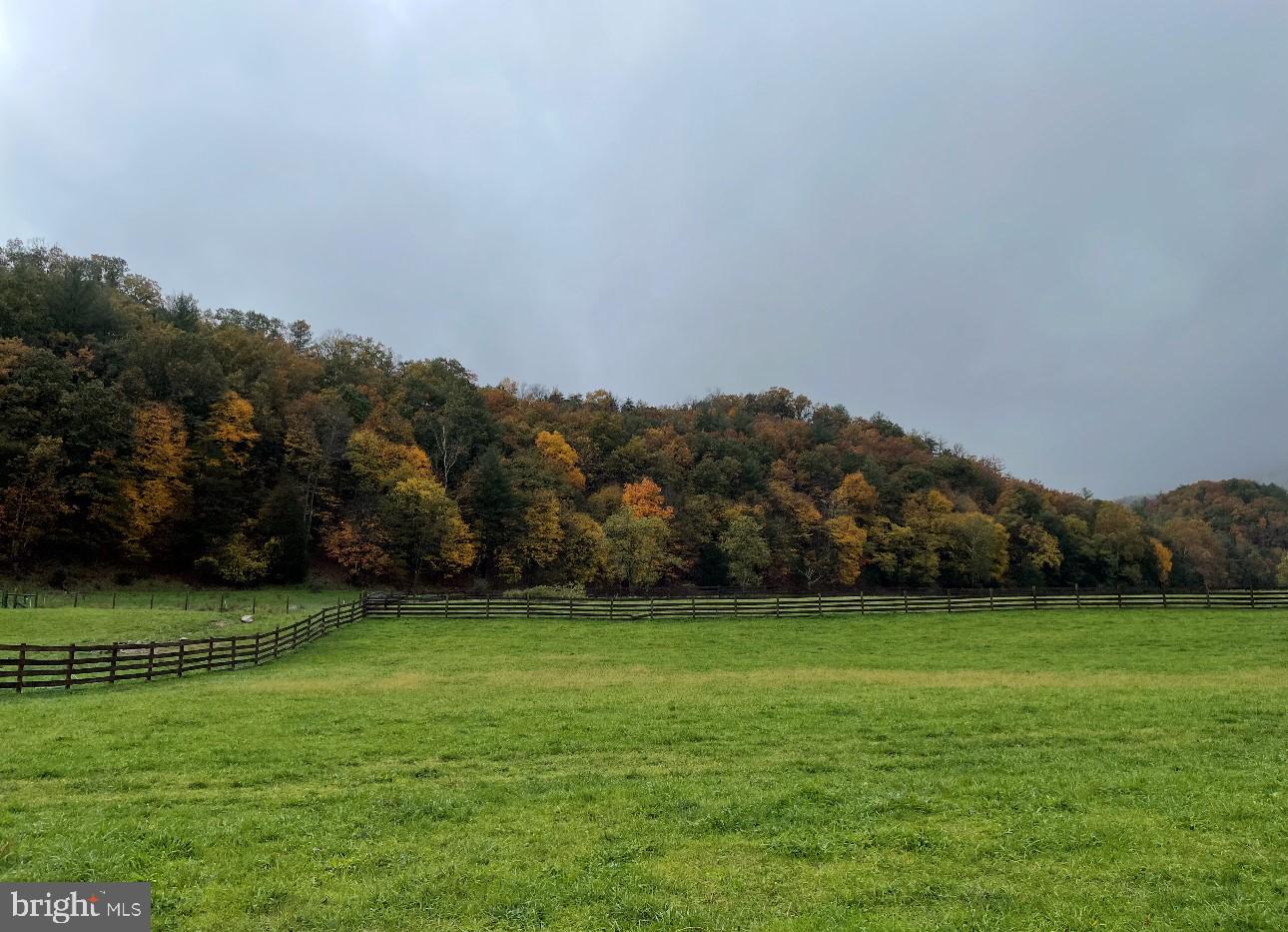 15095 Little Dry River Road Fulks Run, VA 22830 - Photo 3 of 18