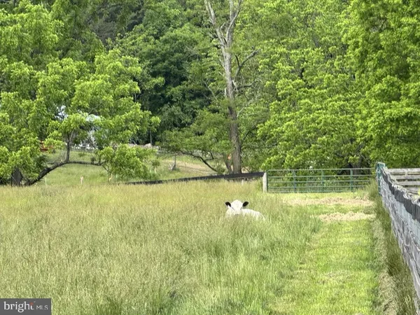 $1,650,000 | 15095 Little Dry River Road, Fulks Run, VA 22830