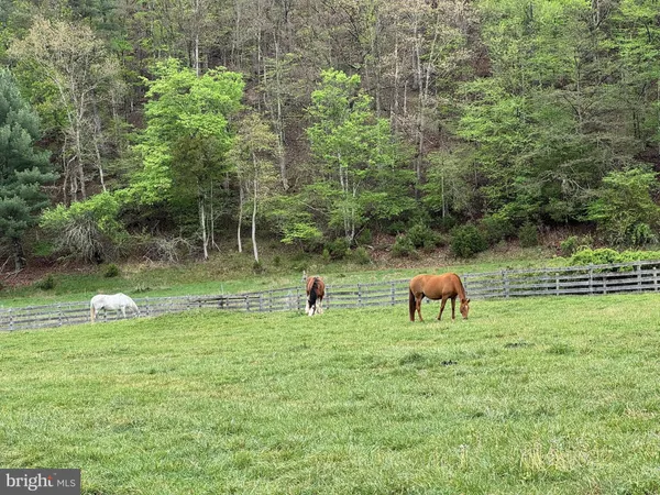 $1,650,000 | 15095 Little Dry River Road, Fulks Run, VA 22830