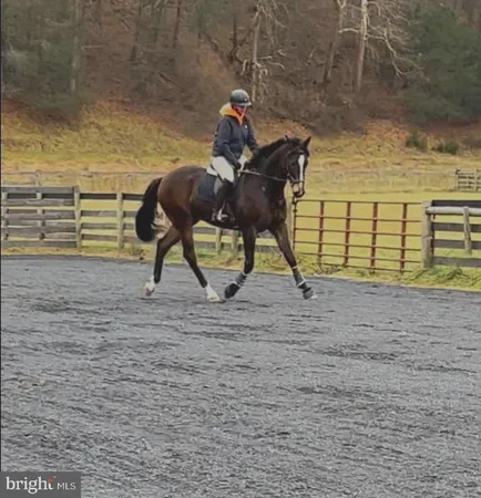$1,650,000 | 15095 Little Dry River Road, Fulks Run, VA 22830