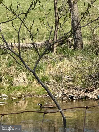 $1,650,000 | 15095 Little Dry River Road, Fulks Run, VA 22830