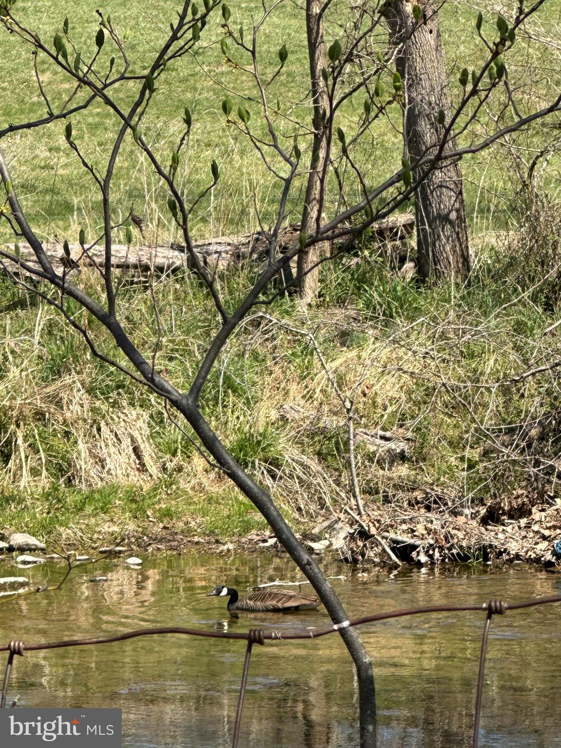 15095 Little Dry River Road Fulks Run, VA 22830 - Photo 7 of 18