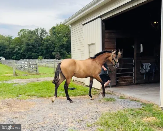$1,650,000 | 15095 Little Dry River Road, Fulks Run, VA 22830