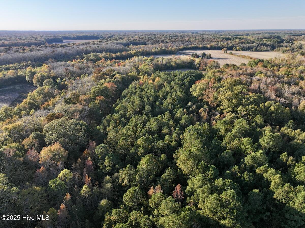 247 Quitsna Road Windsor, NC 27983 - Photo 22 of 30 22