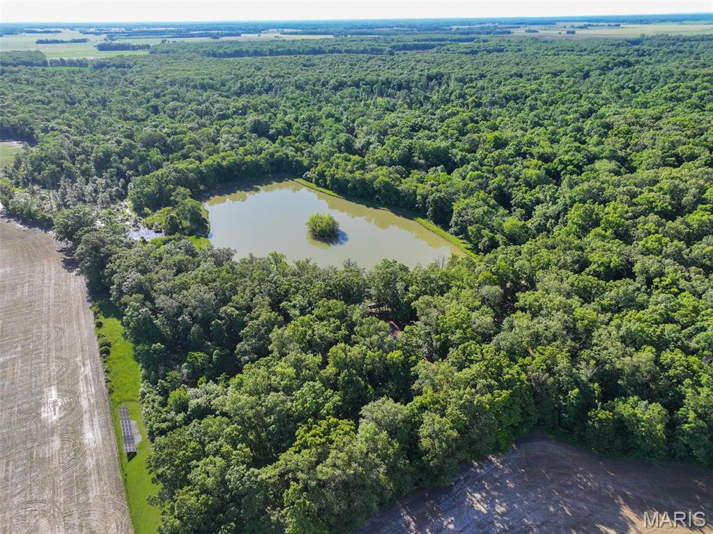 2040 Schlager Road Elkville, IL 62932 - Photo 1 of 97