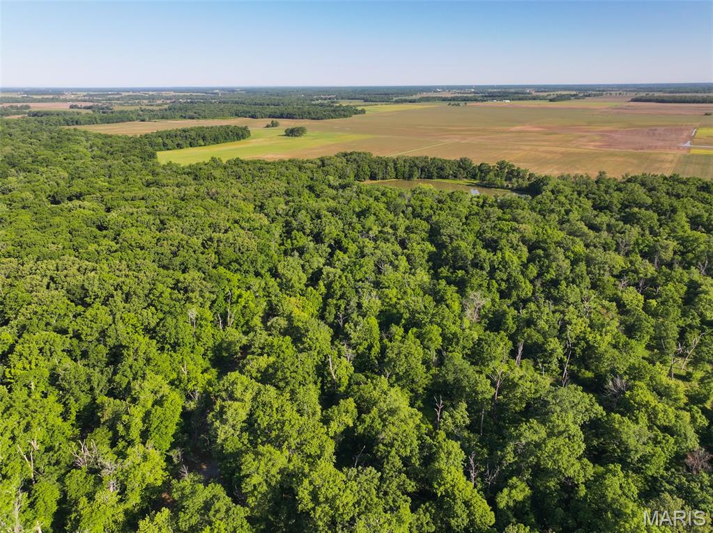 2040 Schlager Road Elkville, IL 62932 - Photo 12 of 97