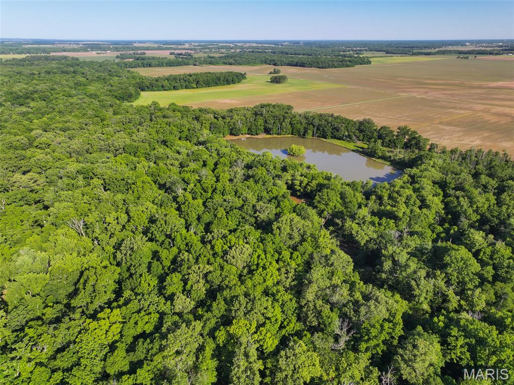 2040 Schlager Road Elkville, IL 62932 - Photo 14 of 97