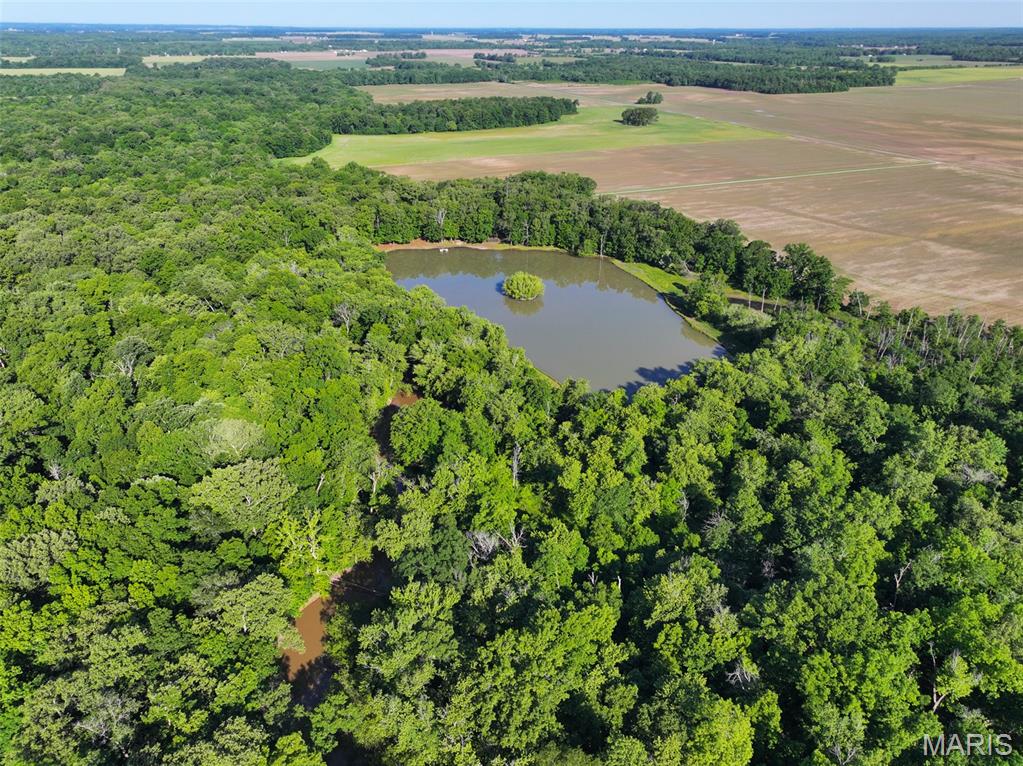 2040 Schlager Road Elkville, IL 62932 - Photo 15 of 97