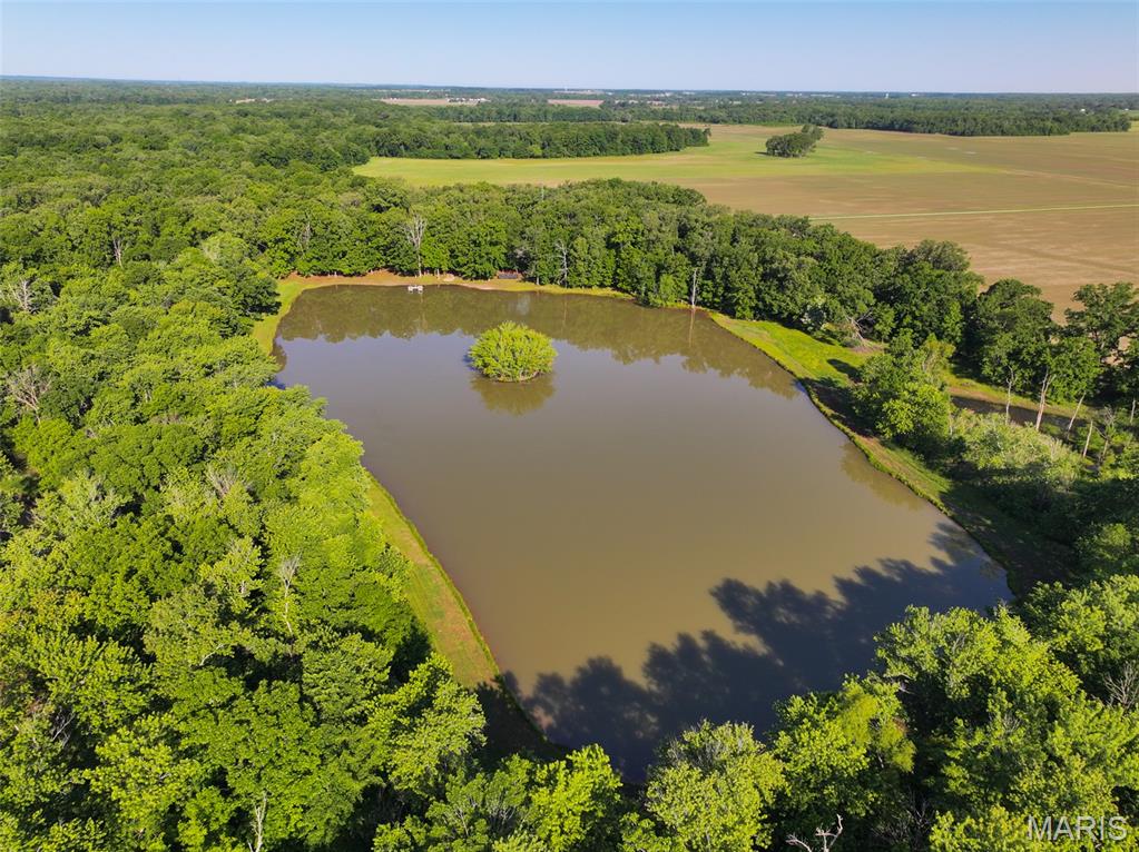 2040 Schlager Road Elkville, IL 62932 - Photo 18 of 97