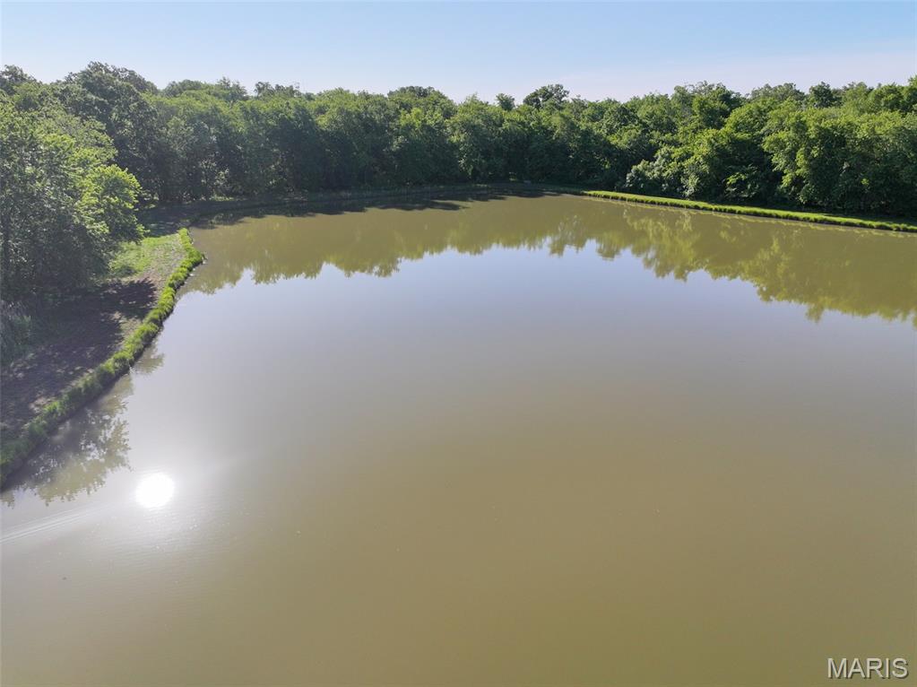 2040 Schlager Road Elkville, IL 62932 - Photo 19 of 97
