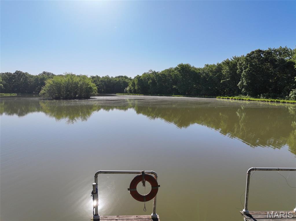 2040 Schlager Road Elkville, IL 62932 - Photo 20 of 97