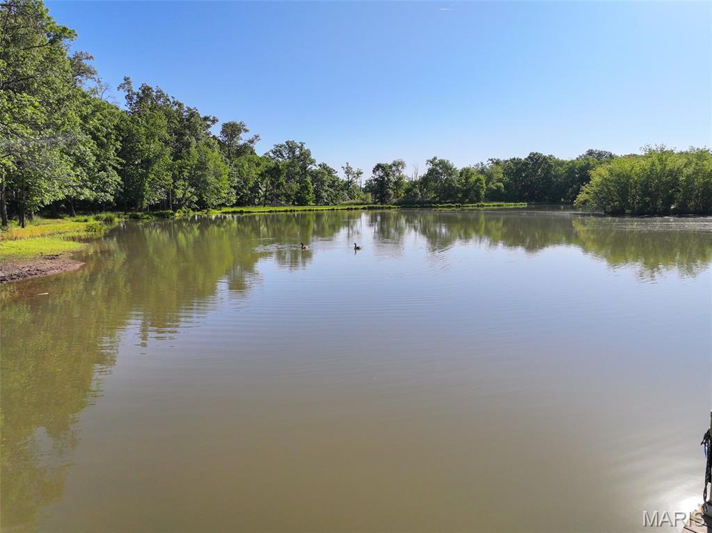 2040 Schlager Road Elkville, IL 62932 - Photo 21 of 97