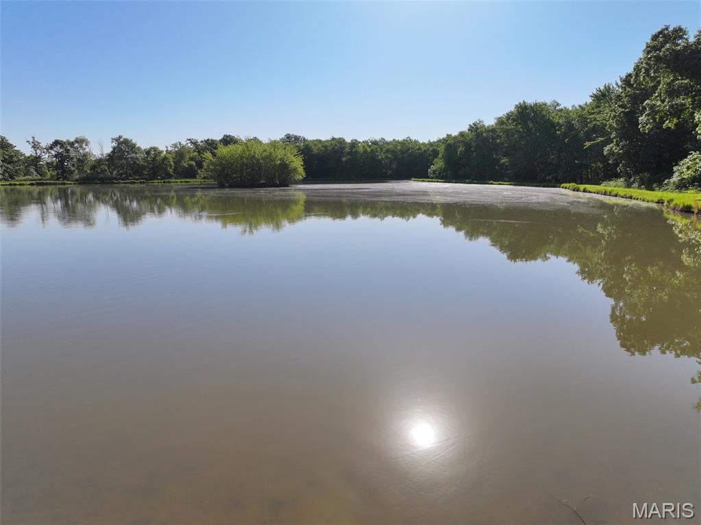 2040 Schlager Road Elkville, IL 62932 - Photo 22 of 97