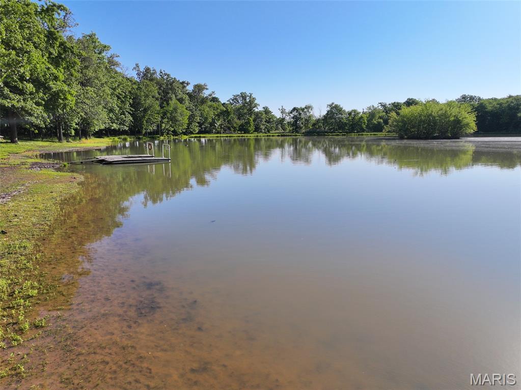 2040 Schlager Road Elkville, IL 62932 - Photo 23 of 97