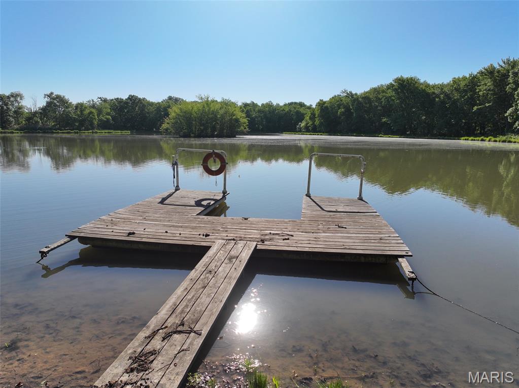 2040 Schlager Road Elkville, IL 62932 - Photo 24 of 97