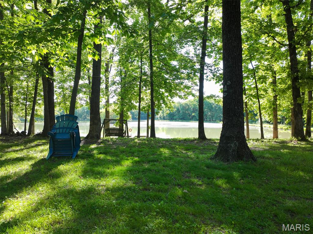 2040 Schlager Road Elkville, IL 62932 - Photo 30 of 97