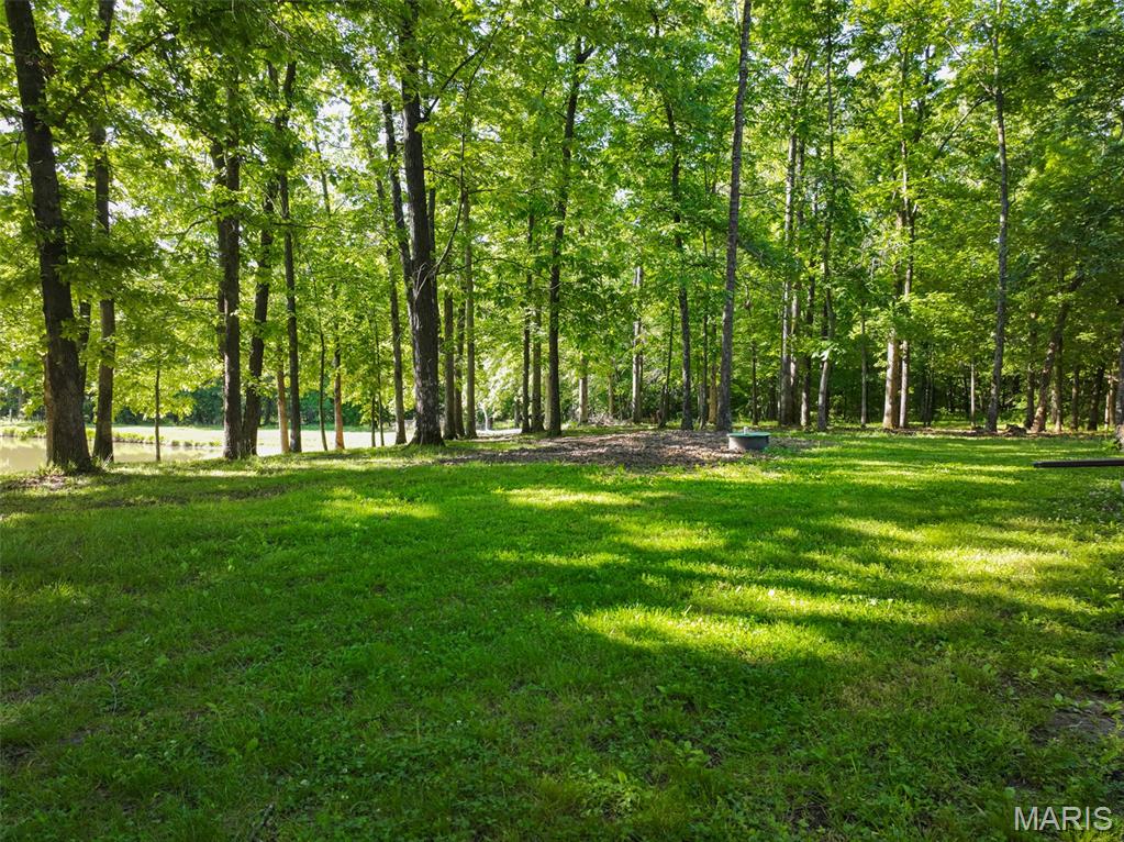 2040 Schlager Road Elkville, IL 62932 - Photo 31 of 97
