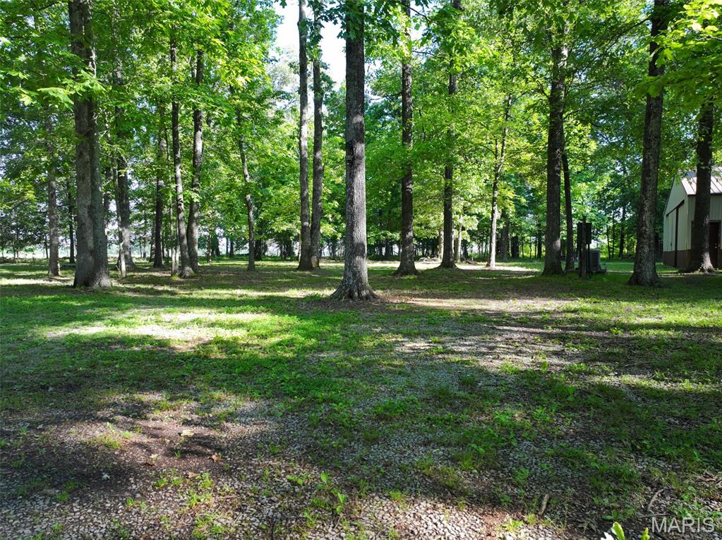 2040 Schlager Road Elkville, IL 62932 - Photo 33 of 97