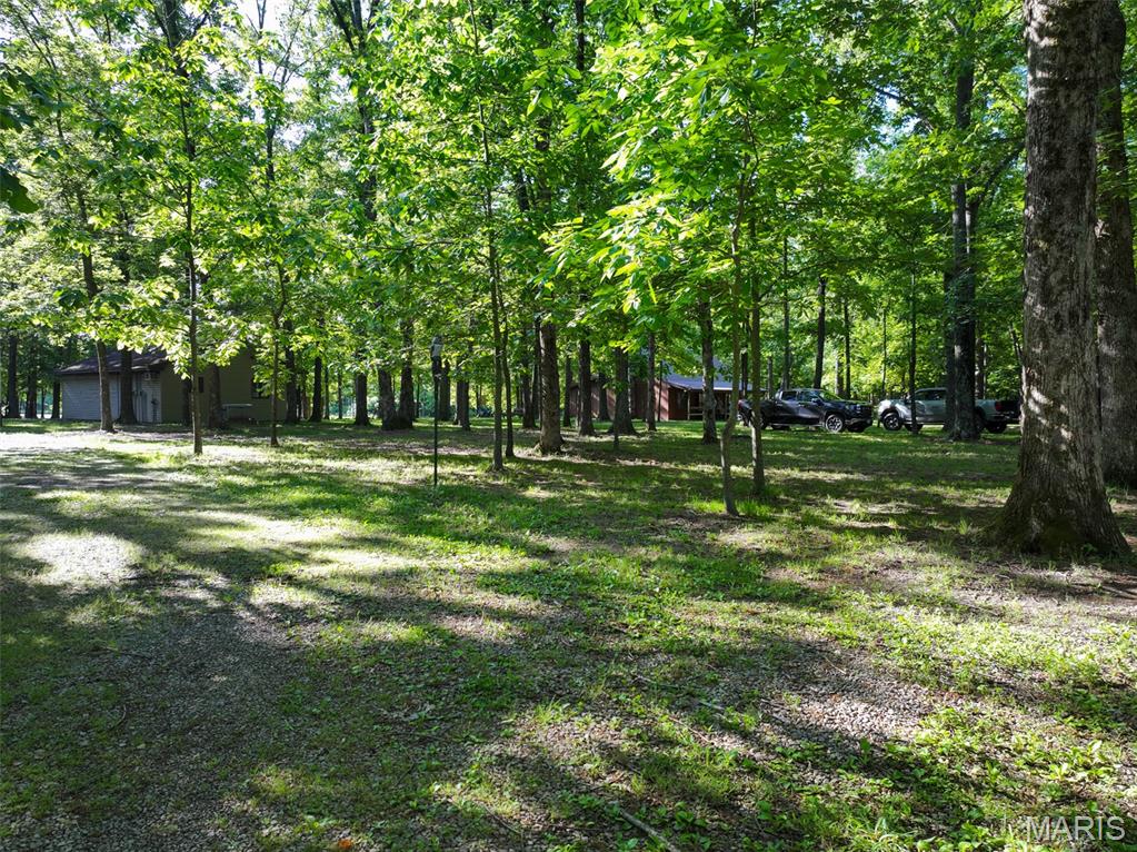 2040 Schlager Road Elkville, IL 62932 - Photo 40 of 97