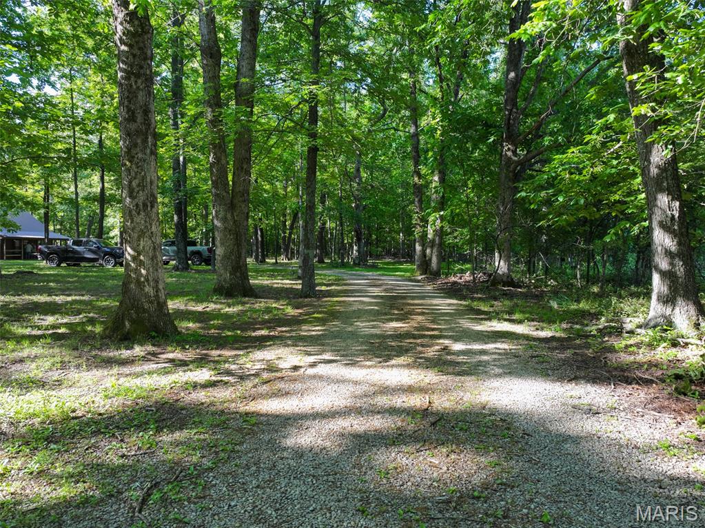 2040 Schlager Road Elkville, IL 62932 - Photo 41 of 97