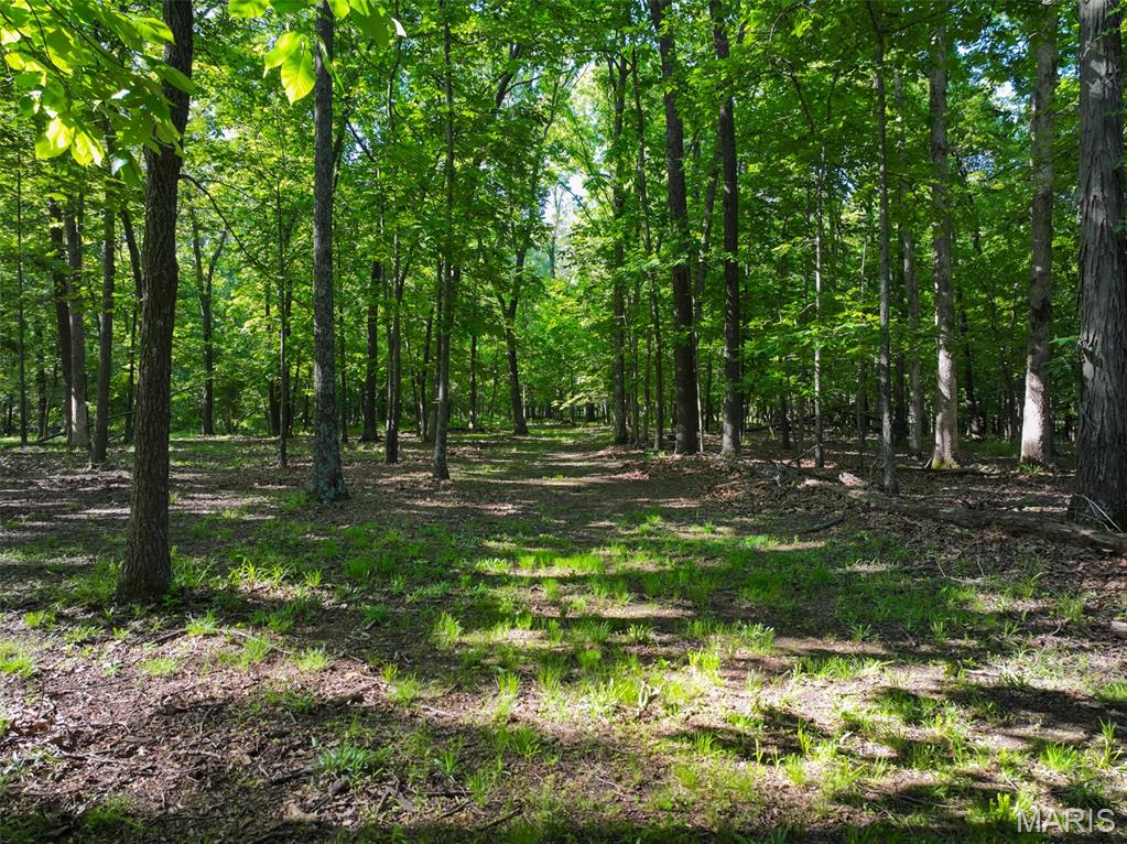 2040 Schlager Road Elkville, IL 62932 - Photo 45 of 97