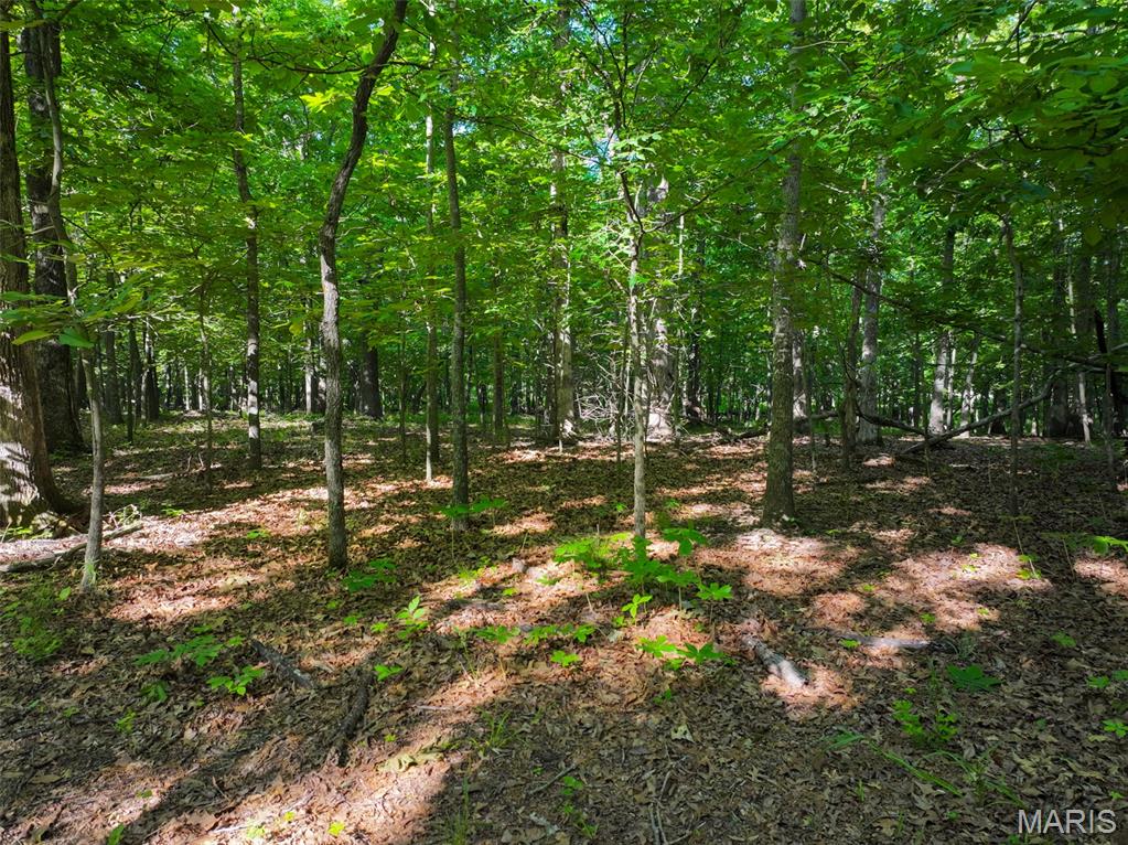 2040 Schlager Road Elkville, IL 62932 - Photo 46 of 97