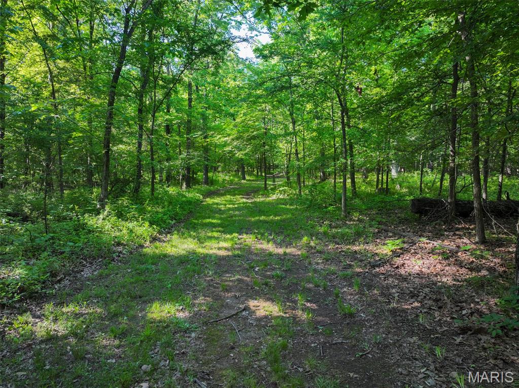 2040 Schlager Road Elkville, IL 62932 - Photo 47 of 97