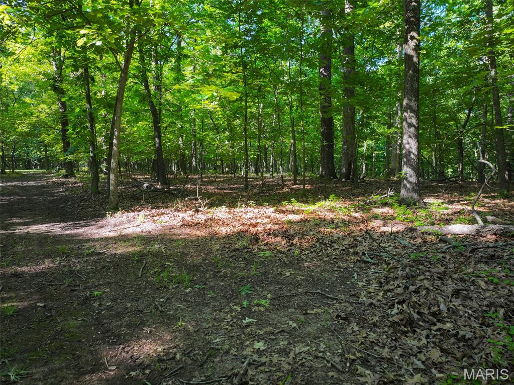 2040 Schlager Road Elkville, IL 62932 - Photo 49 of 97
