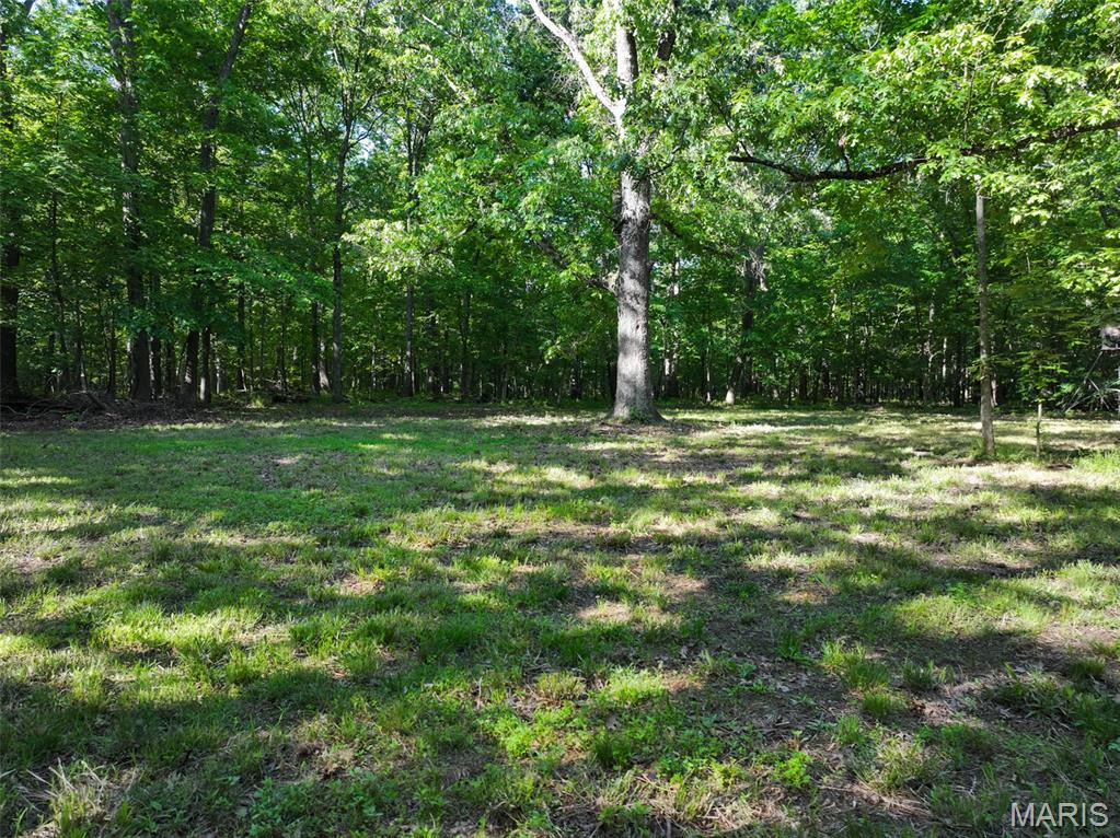 2040 Schlager Road Elkville, IL 62932 - Photo 51 of 97