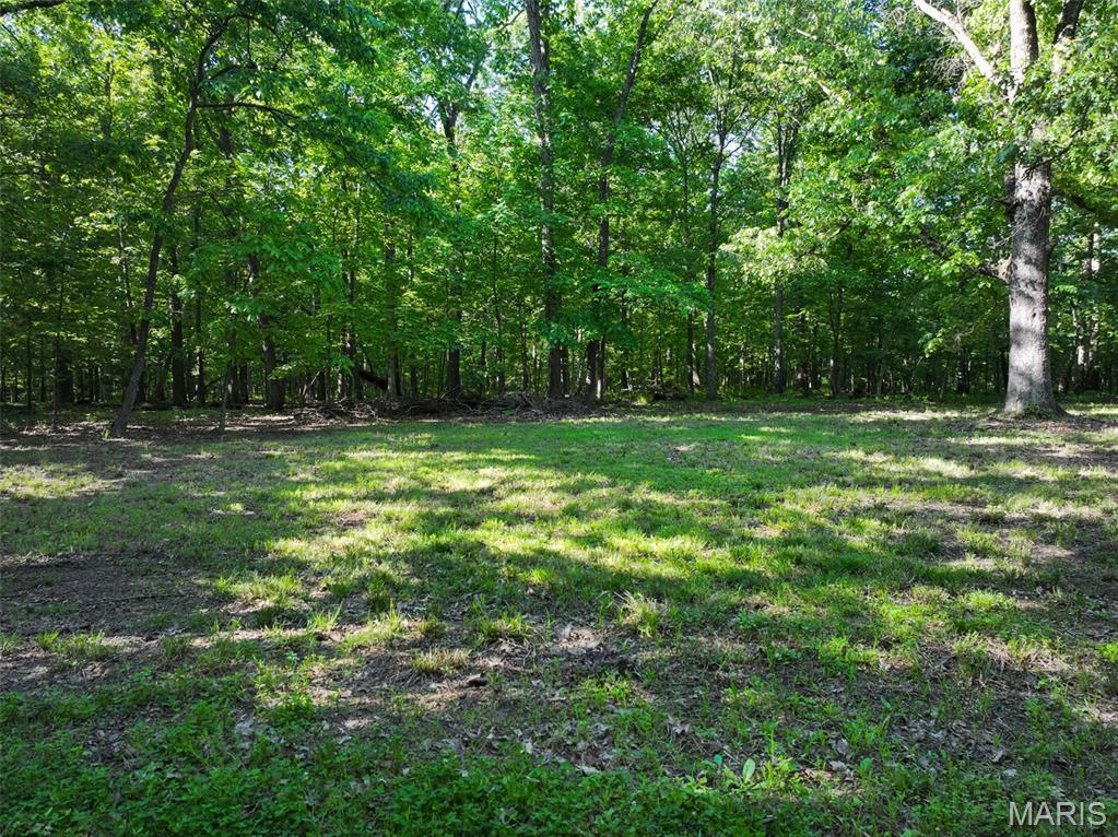 2040 Schlager Road Elkville, IL 62932 - Photo 52 of 97