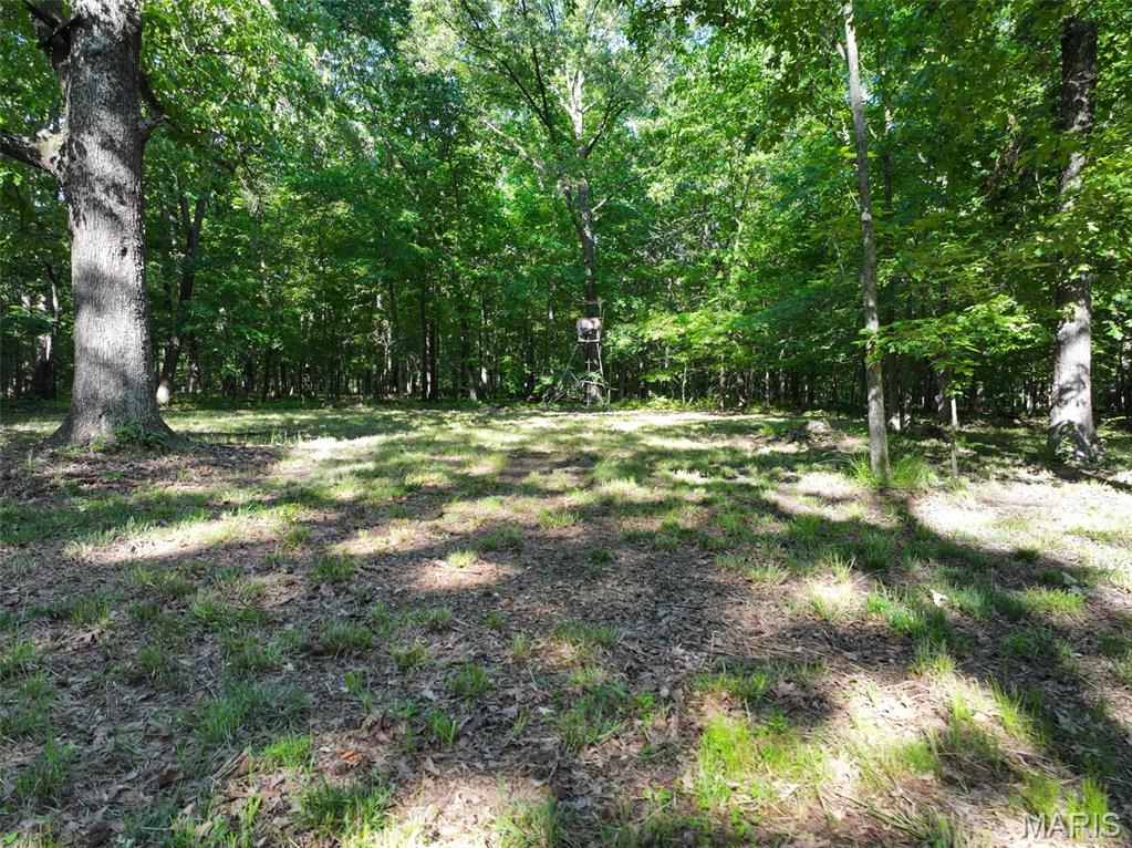 2040 Schlager Road Elkville, IL 62932 - Photo 53 of 97