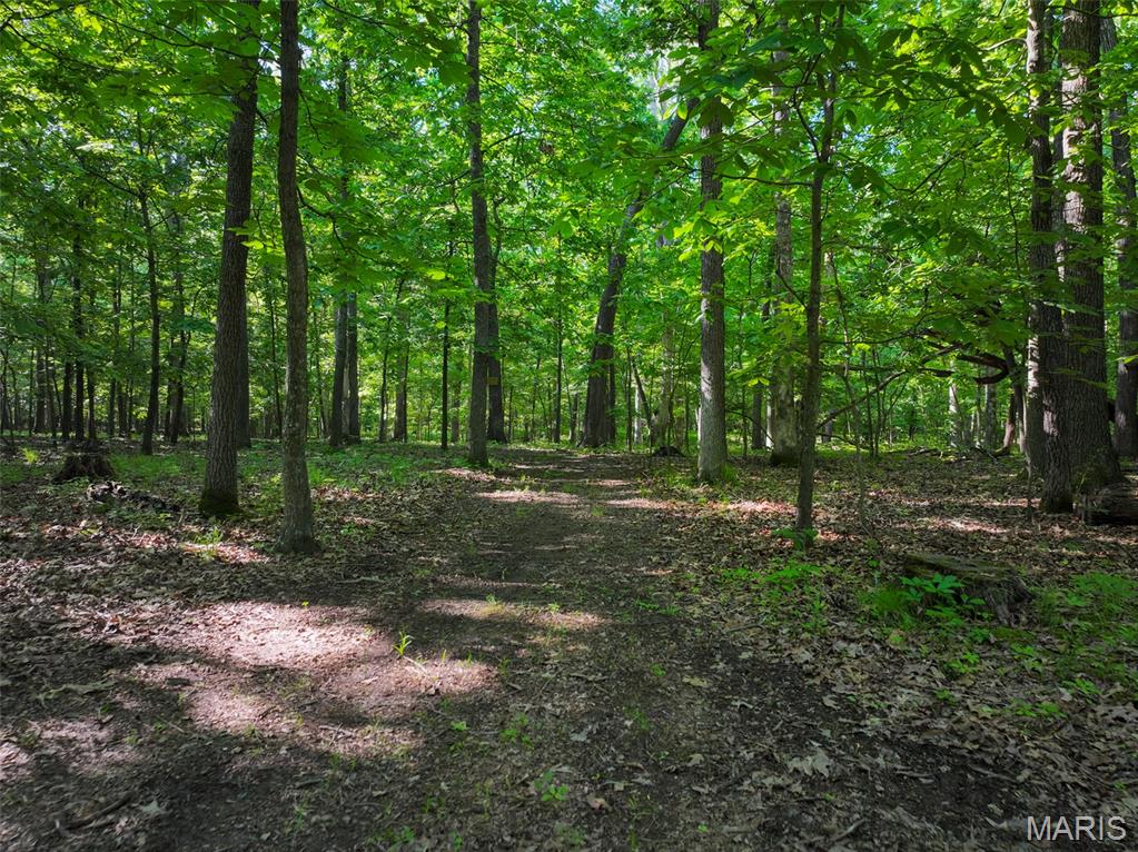 2040 Schlager Road Elkville, IL 62932 - Photo 54 of 97
