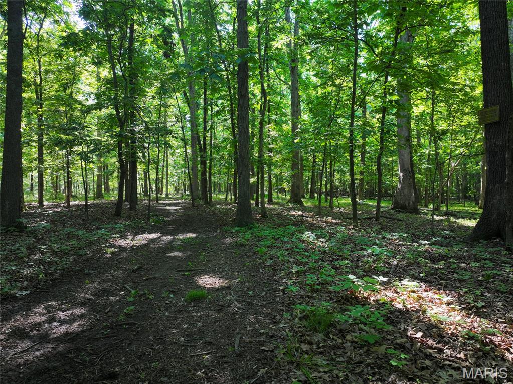 2040 Schlager Road Elkville, IL 62932 - Photo 55 of 97