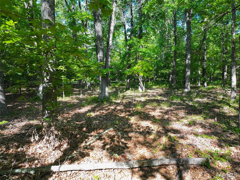 2040 Schlager Road Elkville, IL 62932 - Photo 58 of 97