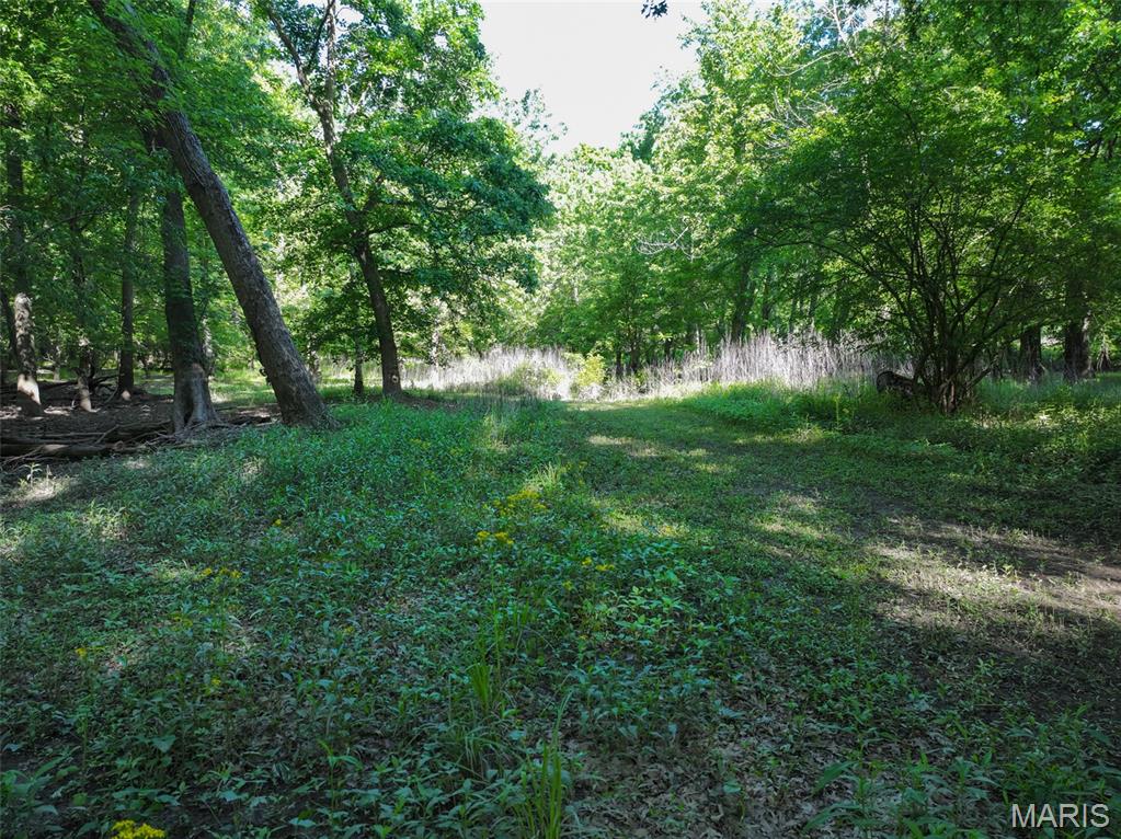 2040 Schlager Road Elkville, IL 62932 - Photo 59 of 97