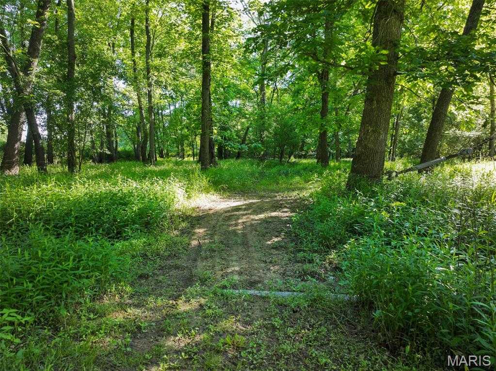 2040 Schlager Road Elkville, IL 62932 - Photo 60 of 97