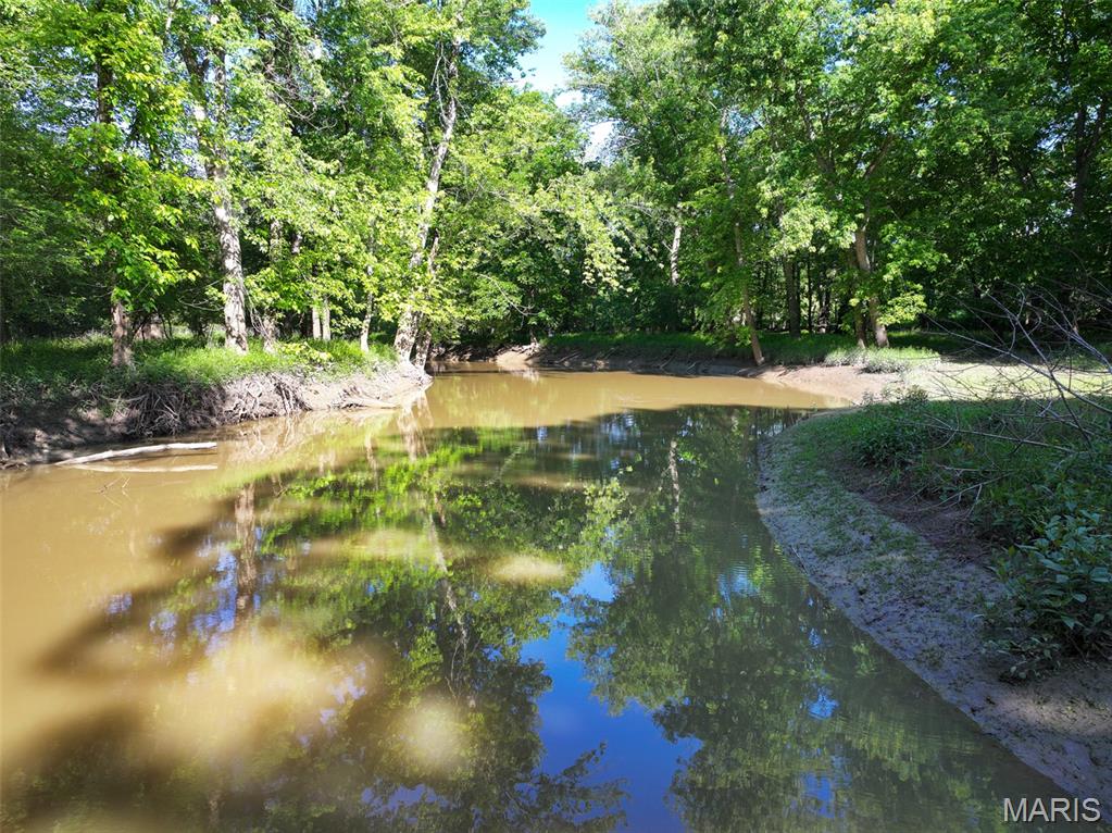 2040 Schlager Road Elkville, IL 62932 - Photo 64 of 97