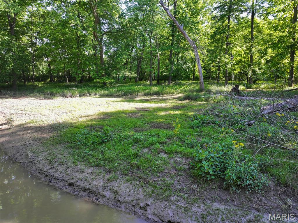 2040 Schlager Road Elkville, IL 62932 - Photo 65 of 97