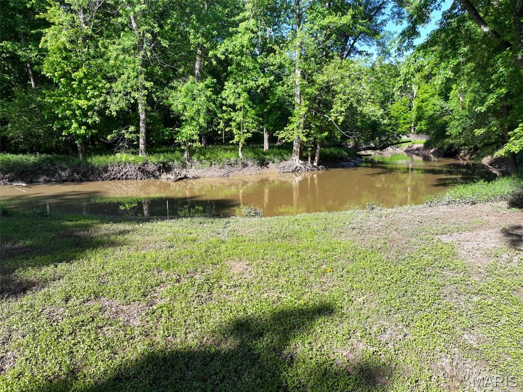 2040 Schlager Road Elkville, IL 62932 - Photo 66 of 97