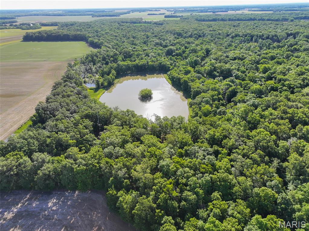 2040 Schlager Road Elkville, IL 62932 - Photo 7 of 97