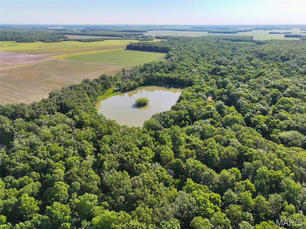 2040 Schlager Road Elkville, IL 62932 - Photo 8 of 97