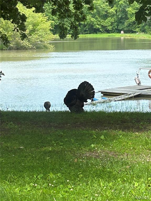 2040 Schlager Road Elkville, IL 62932 - Photo 95 of 97