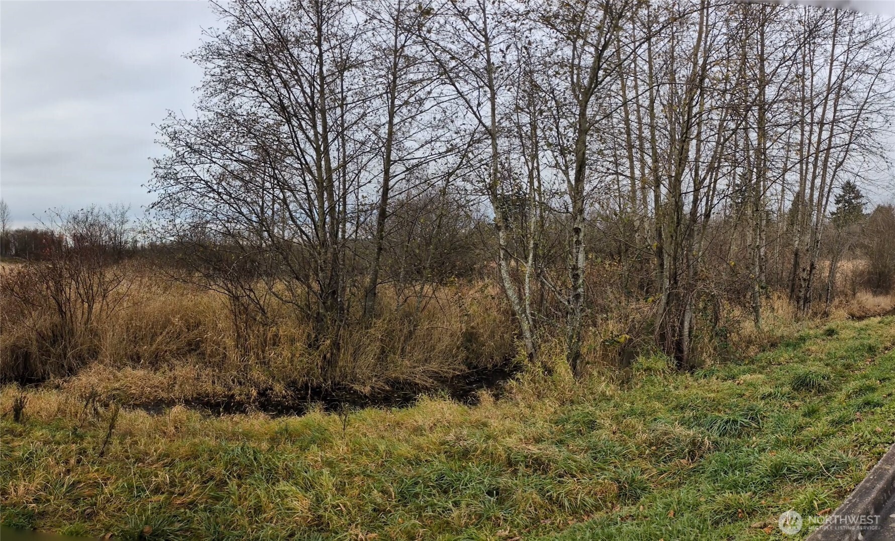 0 2nd Avenue Ferndale, WA 98248 - Photo 2 of 4 a view of lake with green space